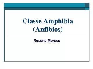 classe amphibia anf bios