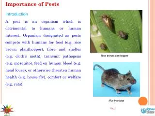 Importance of Pests