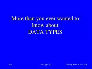 More than you ever wanted to know about DATA TYPES