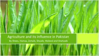 Agriculture and its influence in Pakistan