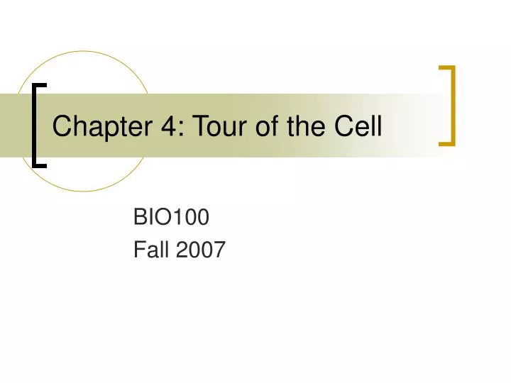 chapter 4 tour of the cell