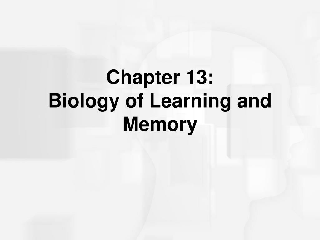 PPT - Chapter 13: Biology of Learning and Memory PowerPoint ...