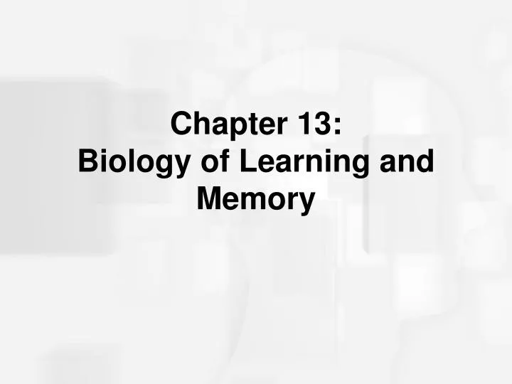 chapter 13 biology of learning and memory