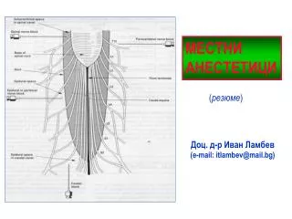 Доц. д-р Иван Ламбев ( e-mail: itlambev@mail.bg)