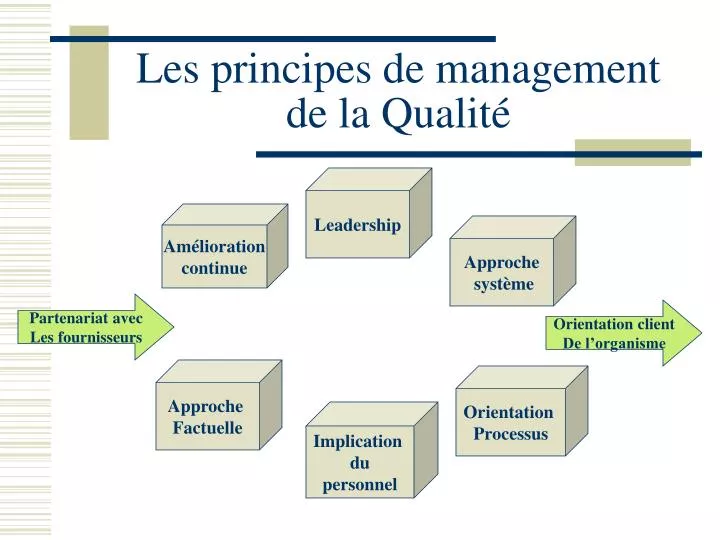 les principes de management de la qualit
