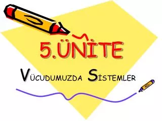 5 n te