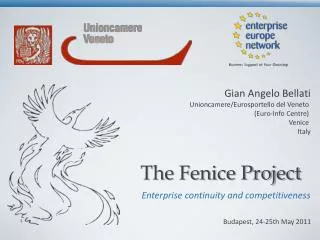 The Fenice Project