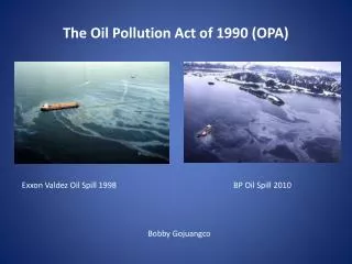 The Oil Pollution Act of 1990 (OPA)