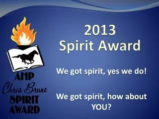 2013 Spirit Award