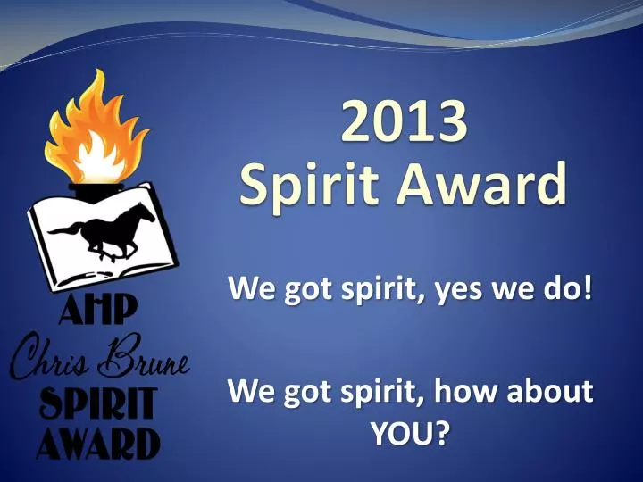 2013 spirit award