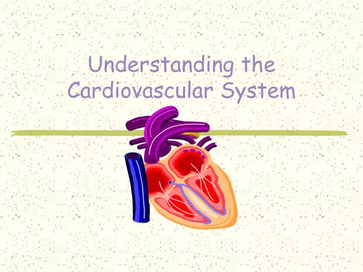 understanding the cardiovascular system