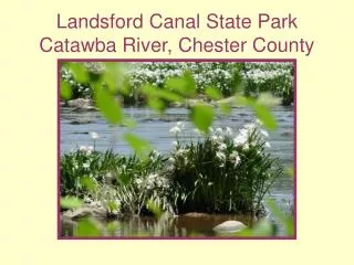 Landsford Canal State Park Catawba River, Chester County
