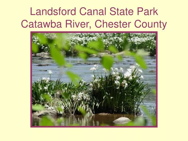 landsford canal state park catawba river chester county