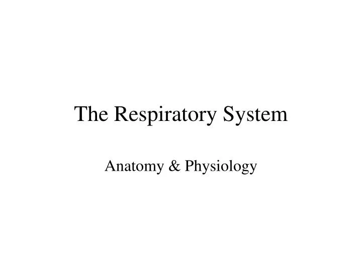 PPT - The Respiratory System PowerPoint Presentation, free download ...