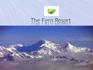 The Fern Resort
