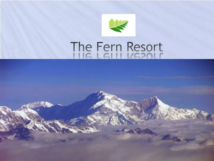 the fern resort