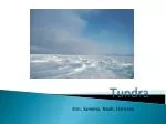 Tundra