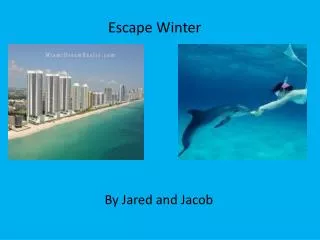Escape Winter