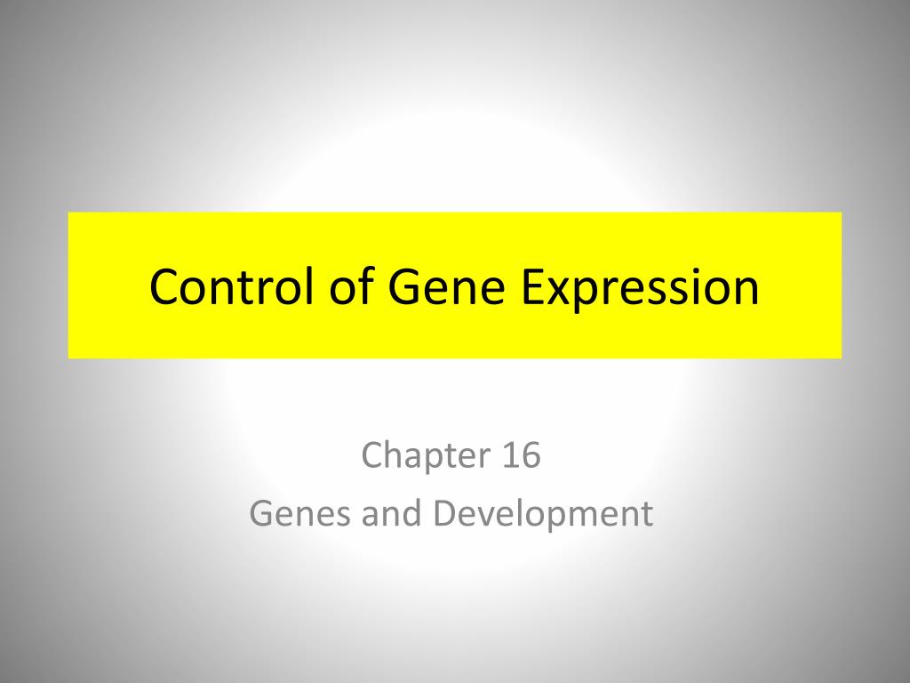 PPT - Control of Gene Expression PowerPoint Presentation, free download ...