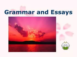 Grammar and Essays