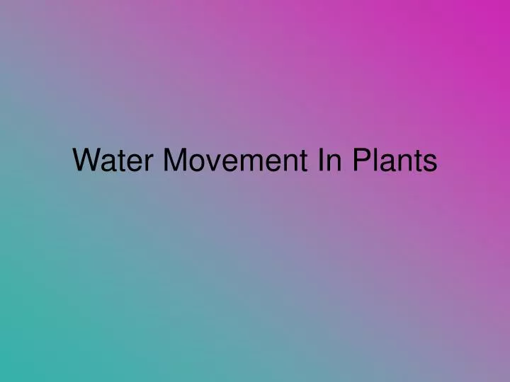 water movement in plants