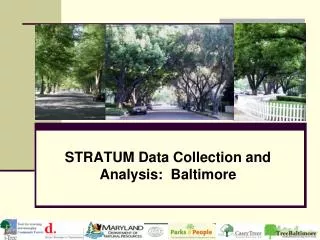 STRATUM Data Collection and Analysis: Baltimore