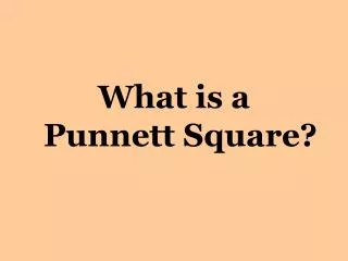 What is a Punnett Square?