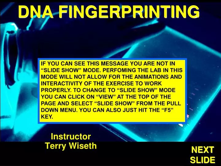 dna fingerprinting