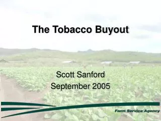 The Tobacco Buyout