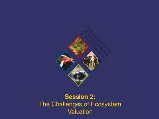Session 2: The Challenges of Ecosystem Valuation