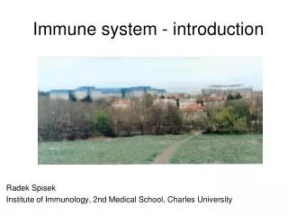 Immune system - introduction