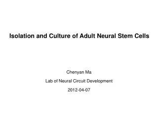 Isolation and Culture of Adult N eural S tem C ells