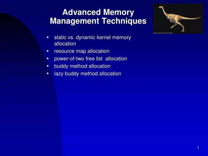 advanced memory management techniques