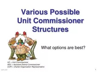 Various Possible Unit Commissioner Structures