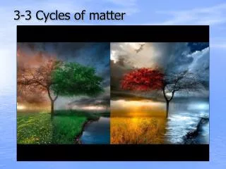 3-3 Cycles of matter