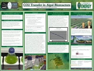 Co 2 transfer at high pH is not passive