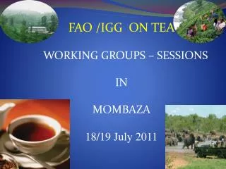 FAO /IGG ON TEA WORKING GROUPS – SESSIONS IN MOMBAZA 18/19 July 2011