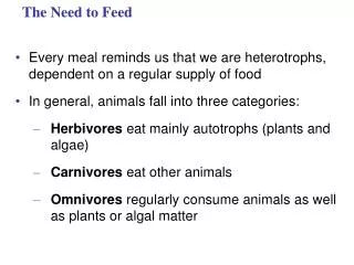 The Need to Feed