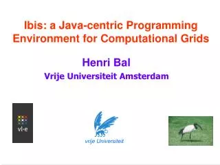 Ibis: a Java-centric Programming Environment for Computational Grids