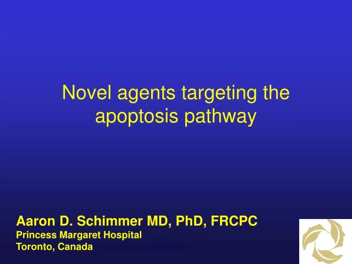novel agents targeting the apoptosis pathway
