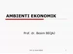 AMBIENTI EKONOMIK - slide 1