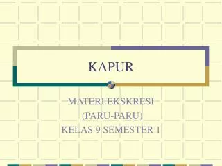 kapur