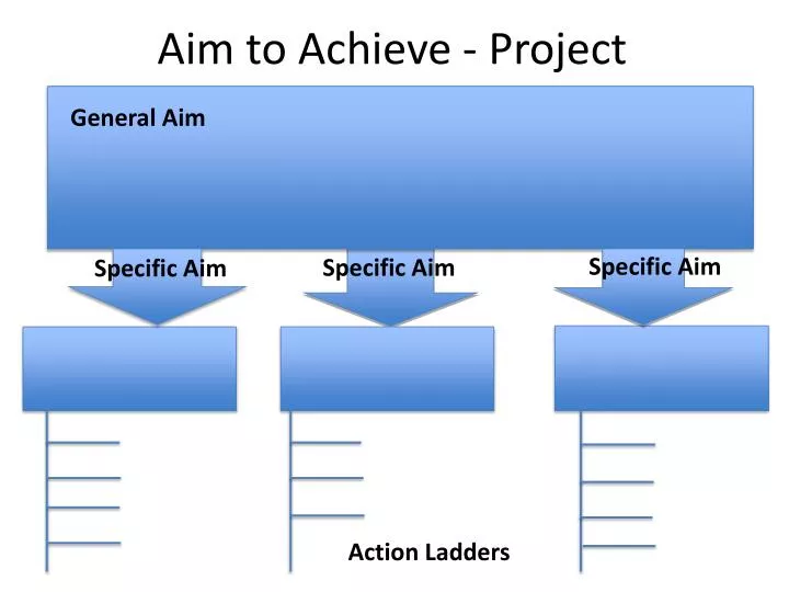 aim to achieve project