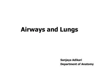 Airways and Lungs