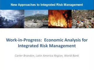 Work-in-Progress: Economic Analysis for Integrated Risk Management