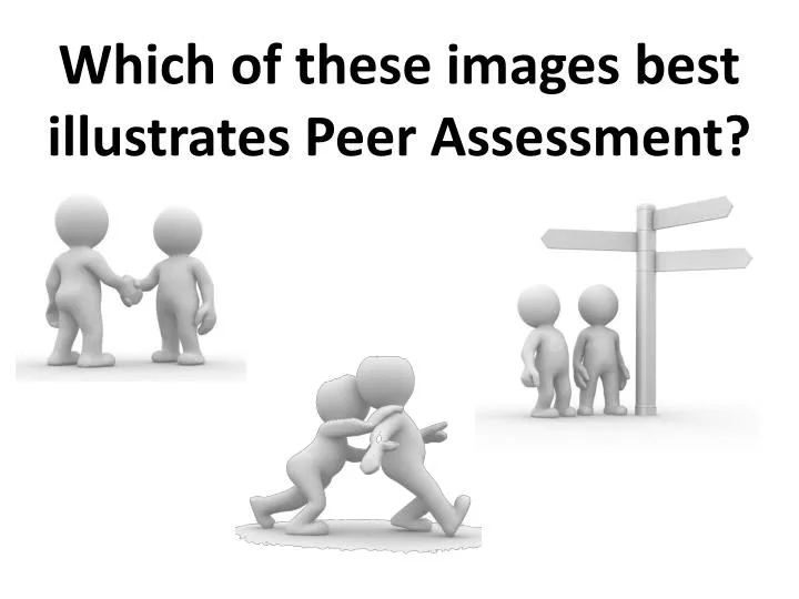 which of these images best illustrates peer assessment