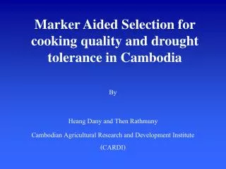Marker Aided Selection for cooking quality and drought tolerance in Cambodia
