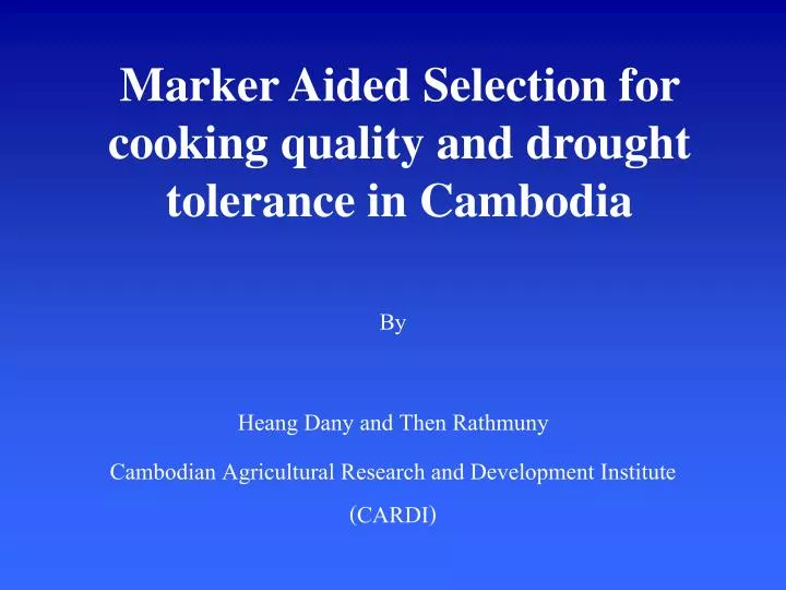 marker aided selection for cooking quality and drought tolerance in cambodia