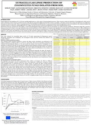 EXTRACELLULAR LIPASE PRODUCTION OF ZYGOMYCETES FUNGI ISOLATED FROM SOIL