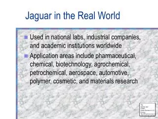 Jaguar in the Real World